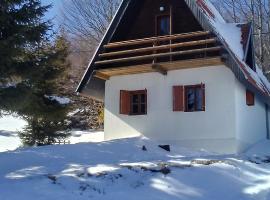 Holiday Home Ema, hotel with parking in Plešin