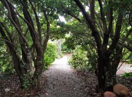 Camelot Boutique Accommodation, hotel v destinaci Mount Tamborine