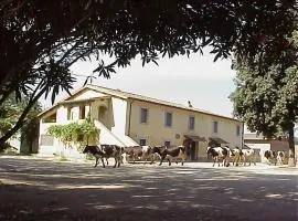 Biobagnolese Agriturismo