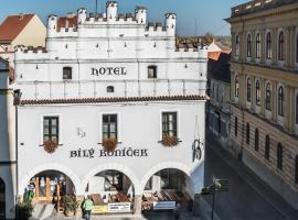 Hotel Bílý Koníček, отель в Тршебоне