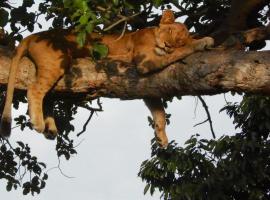 Kasenyi Lake Retreat & Campsite, glamping site in Kasese