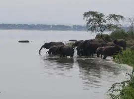 Kasenyi Lake Retreat Lodges & Campsite