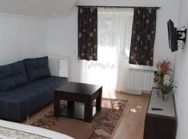 Apartments on Drohobytska 6b, hotell i Truskavets