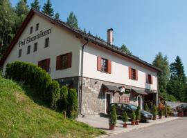 Pod Slamníkem, hotel en Dolní Morava