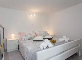 Studio Apartment Vasilj