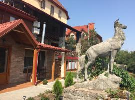 Guesthouse Grand Canyon, pensionat i Kamjanets-Podilskyj