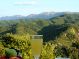 Villa Menta in Zagori, viešbutis mieste Koukouli