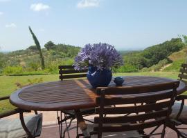 Podere Serra destri, casa o chalet en Riparbella