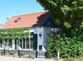 Comfortable holiday home in Schoondijke with a terrace