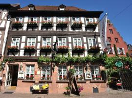 Wein-und Gasthof Zipf, hotell i Miltenberg