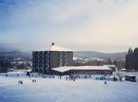 예르브쇠에 위치한 호텔 Bergshotellet