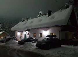 Apartmaji Koželj