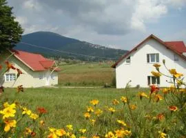 Casa Ana Vatra Dornei