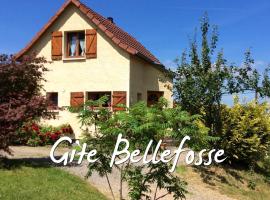 Maison independante de montagne en ALSACE、ベルフォスのスキーリゾート