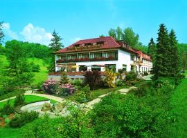 Hotel Wiesengrund, hotel v destinaci Lindenfels