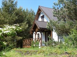Domek w Sosnowym Lesie, hotel in Sulicice