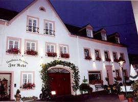 Gasthaus Zur Rebe, ξενοδοχείο σε Mehring