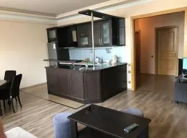 The appartments is opposite of "Europe Square", Batumi