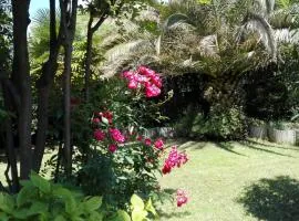 Appartamento giardino sugli ulivi