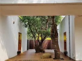 Aroundthetree Hermitage