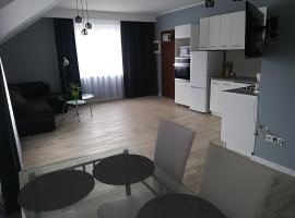 Apart-noclegi, apartman u gradu Sjemjatiče