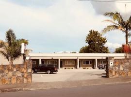 Phoenix Palm Motel, hotel in zona Ippodromo di Ellerslie, Auckland