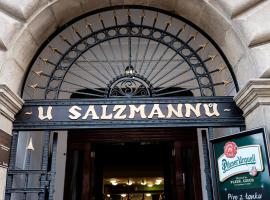 Hotel U Salzmannů, guest house in Plzeň