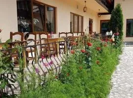 Pension Steaua Ariesului