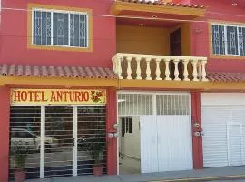 Hotel Anturio