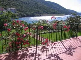 Apartmani Tia