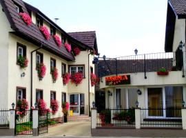 Pensiunea Luiza, hotel v Brašove