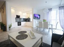 Apartament nad Drwęcą I