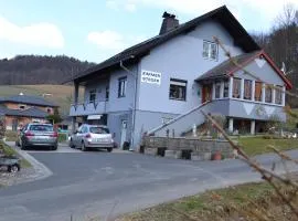 Zimmer Steger