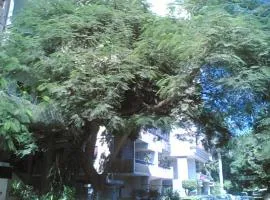 Fully Equipped ,3 BR ,centrally located flat in Mohandsseen