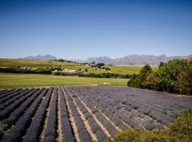 Lavinia Lifestyle, penginapan di ladang di Stellenbosch