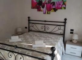 Il Tulipano