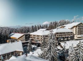 Perelik Hotel, viešbutis mieste Pamporovo