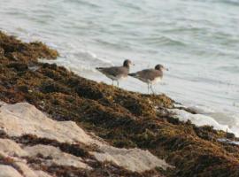 فندق دله طيبه, hotel in Riyadh