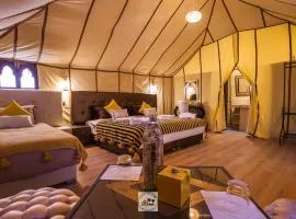Luxury oasis camp