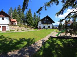 Pensiunea Rafael, hotel i Păltiniş