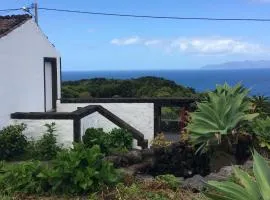 Casa do Ginjal