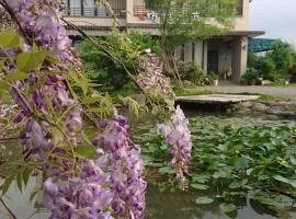 Dragonfly B&B