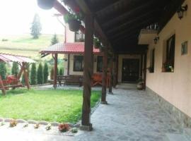 Casa ALINA, farm stay in Arieşeni