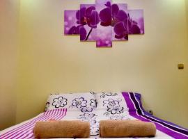 Maslina Rooms, hotel with parking in Smederevo