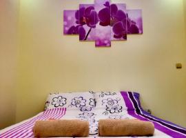 Maslina Rooms, homestay in Smederevo