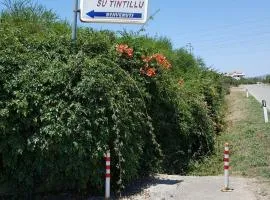 B&B Su Tintillu