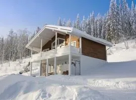 Karkutahko Villas 1A - Spacious 3BR Villa in Tahko with Private Sauna