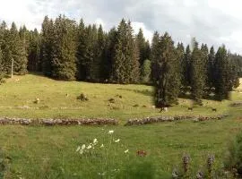 La Dernier (La cote-aux-fées) Suisse