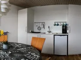 2 rooms, private kitchen, bathroom, and garden.