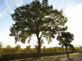 Agriturismo Lucerna del Lago Prile